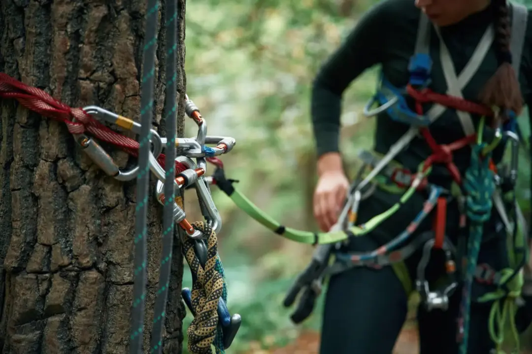 Arborist checking a climbing anchor and carabiner arrangement during practical training