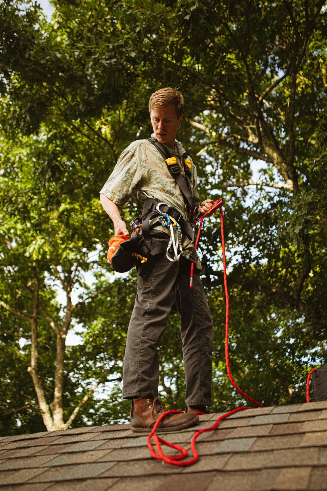 What Climbing Kit Do You Need for Your First Course What Climbing Kit Do You Need for Your First Course Image