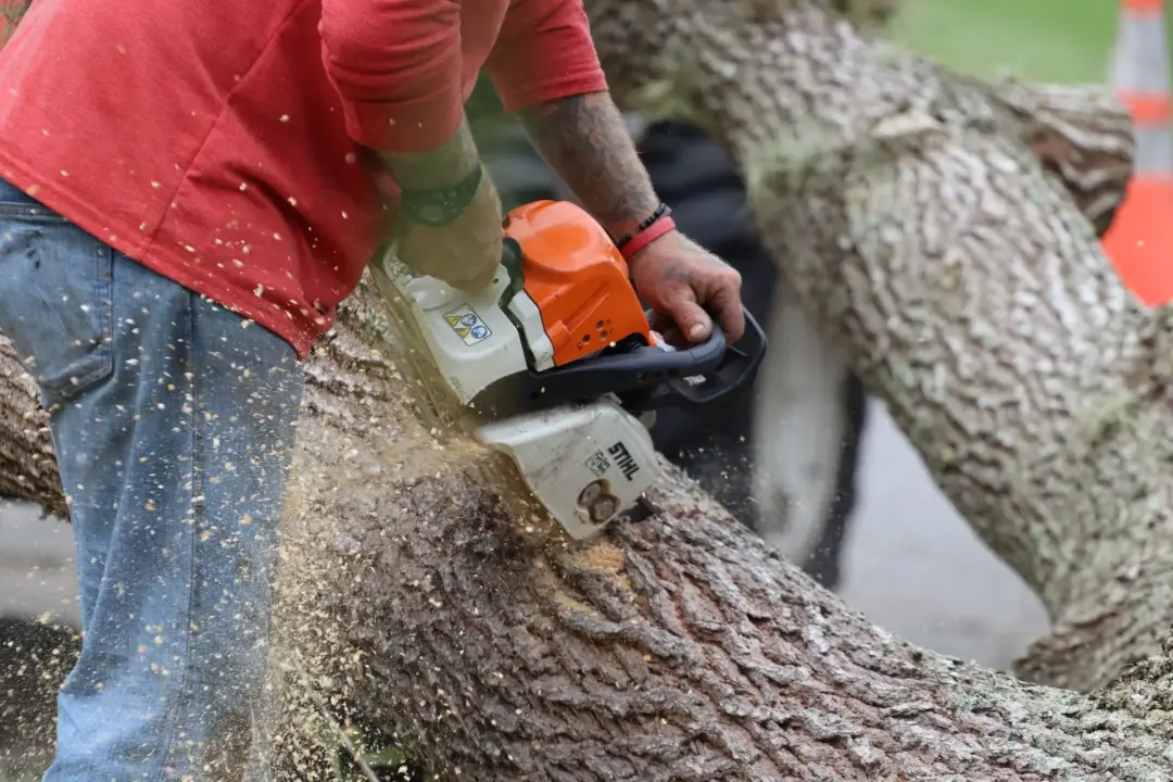 Essential Chainsaw First Aid