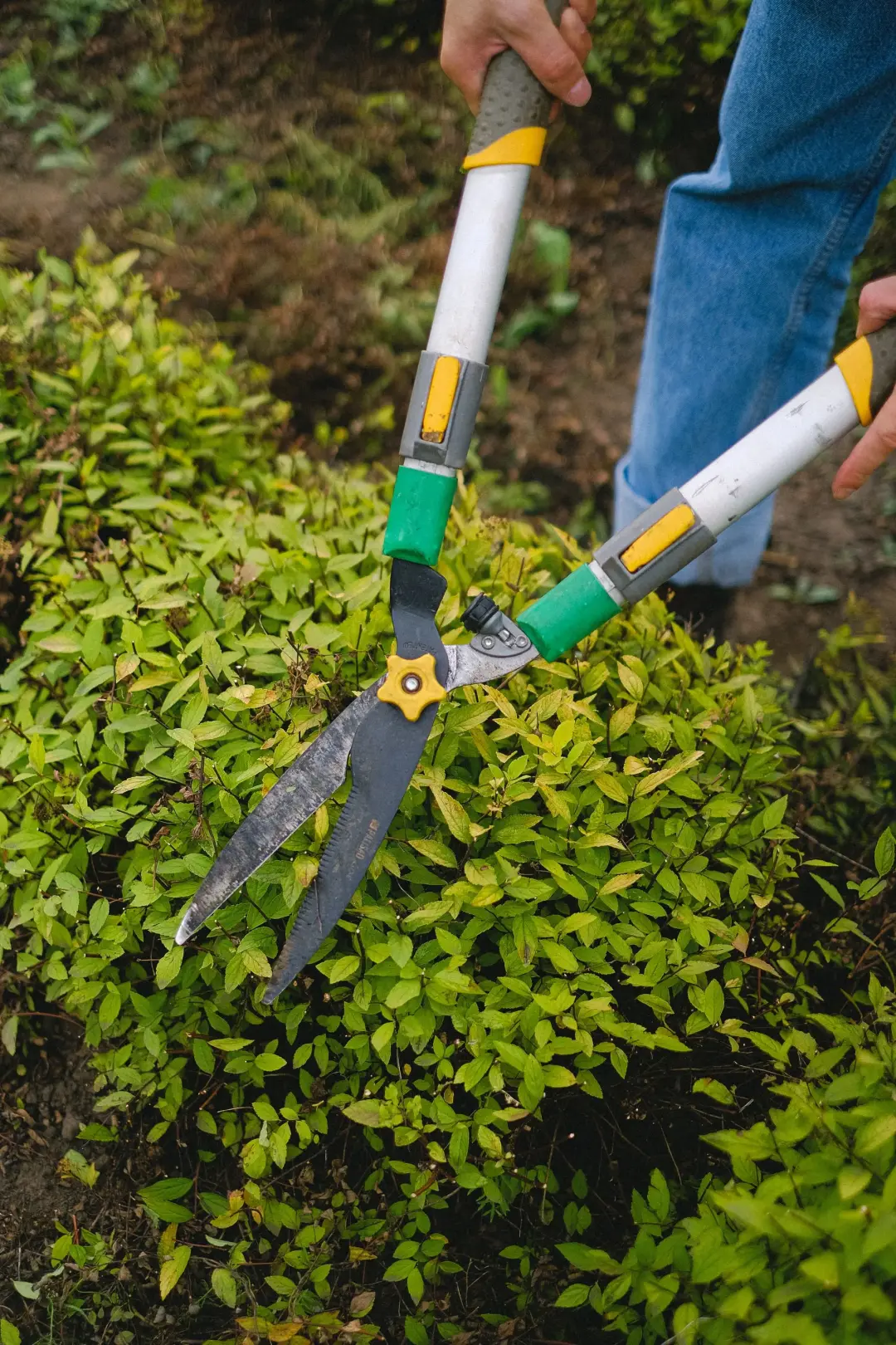 Gloves, shears and supporting equipment