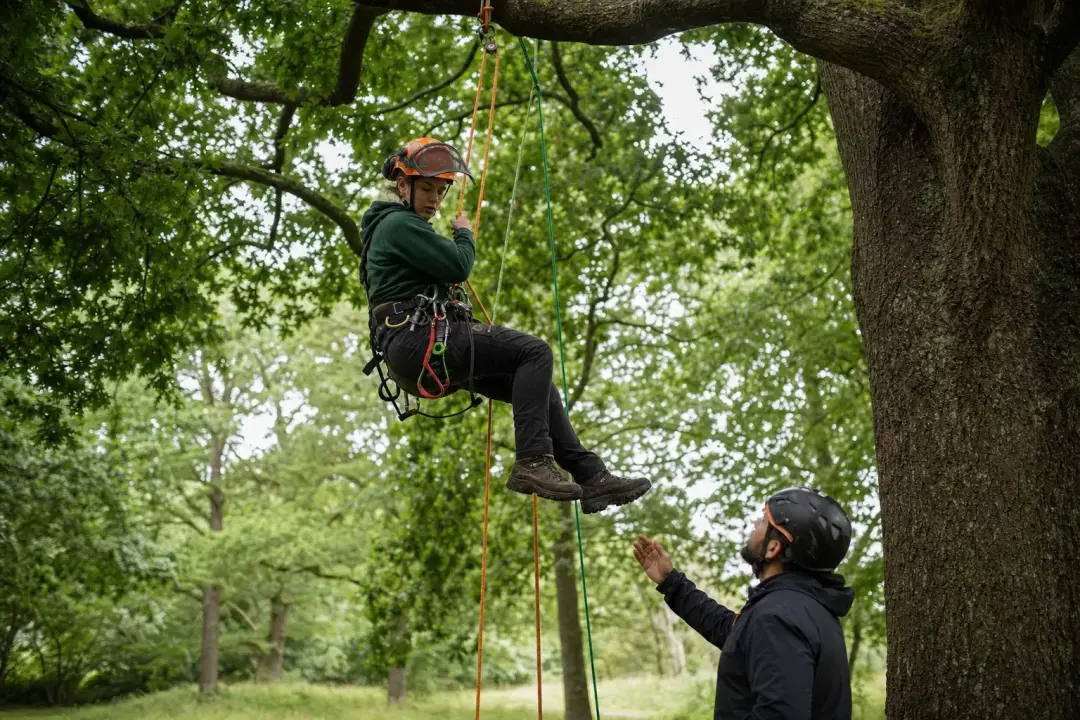 Instructor supervising an aerial arboricultural rescue training exercise